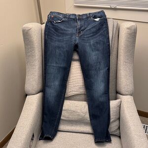 Hudson Jeans Dark Blue Skinny Jeans